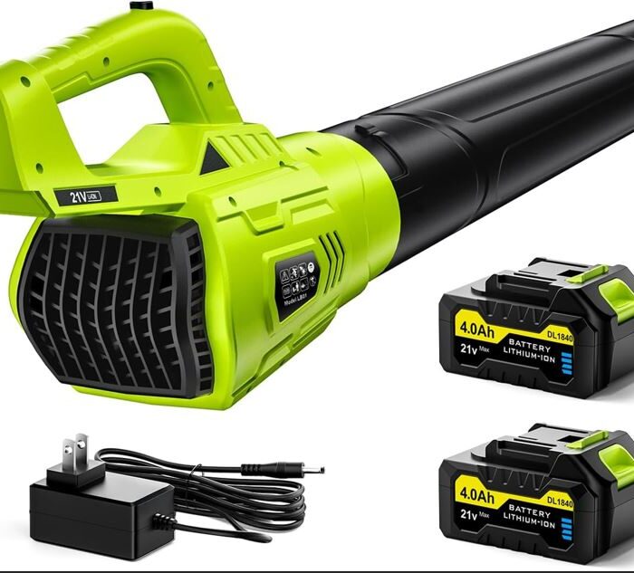 Leaf Blower Cordless, 21V Powerful Electric Leaf Blower with 2 * 4.0Ah Batteries & Fast Charger, 2-Speed Power Settings, Battery Powered Blowers for Lawn Care, Yard, Lawn, Patio, Dust, Blows Leaves